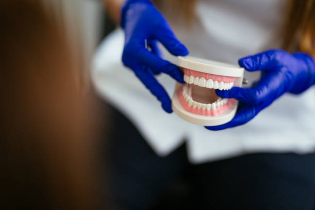 Best Root Canal Treatment  in Fort Meade, FL