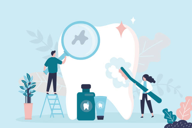 Best Traditional Braces  in Fort Meade, FL